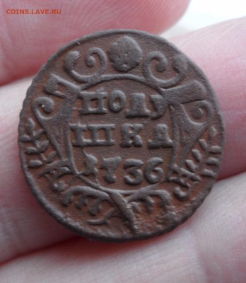 Полушка 1736 года, до 12.01.19 в 22.00 по мск - 5.JPG