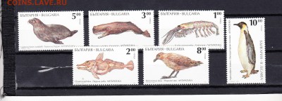 Болгария 1994 фауна моря 6м - 44г