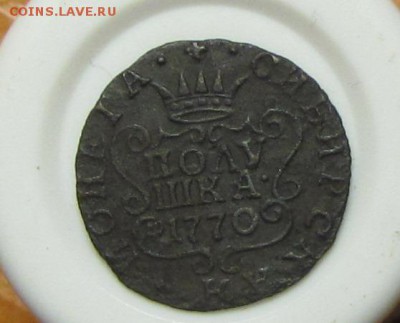 Полушка Сибирская 1770 до 13.01 - IMG_1966.JPG