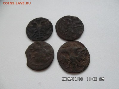 четыре полушки ВРП 1719 - 1721 годов - SAM_5270.JPG