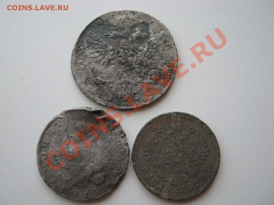 Трупы! Слабонервным не смотреть! - IMG_6378