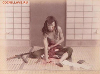 Международные новости - rarepictures-15