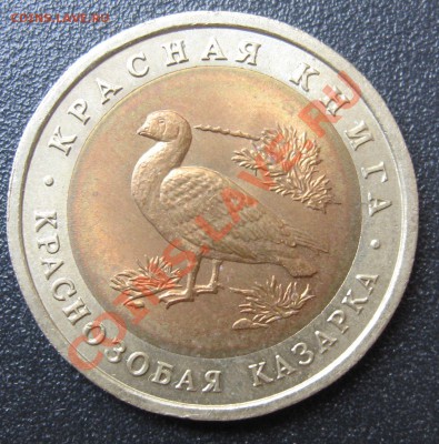 Красная книга 1992 год, Кобра и Казарка - IMG_8165.JPG