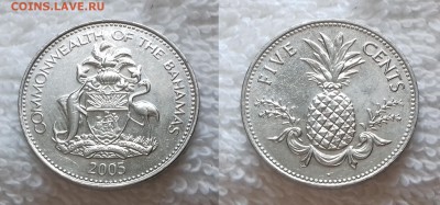БАГАМСКИЕ О-ВА 5 центов 2005 до 12.01 22:00 - БАГАМСКИЕ О-ВА 5 центов 2005 20190108_1457