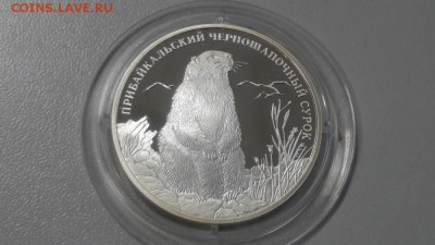 2р 2008г Сурок- пруф серебро Ag925, до 14.01 - Y Сурок-1