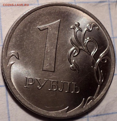 РАЗНОВИДНОСТИ  от  СЛФ - DSC02927.JPG