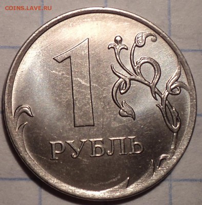 РАЗНОВИДНОСТИ  от  СЛФ - DSC02929.JPG