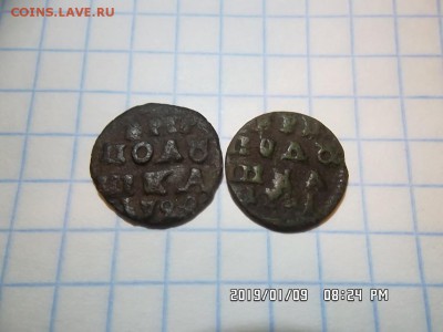 пять полушек ВРП 1719 - 1721 годов - SAM_5279.JPG