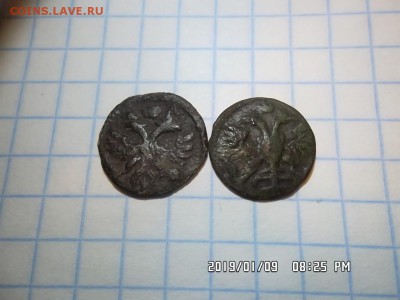 пять полушек ВРП 1719 - 1721 годов - SAM_5280.JPG