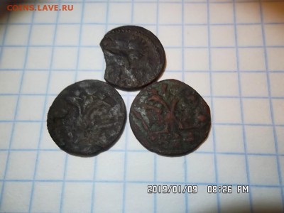 пять полушек ВРП 1719 - 1721 годов - SAM_5282.JPG