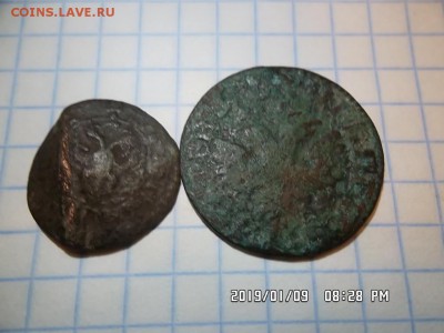 денга 1704 года с бонусом - SAM_5284.JPG