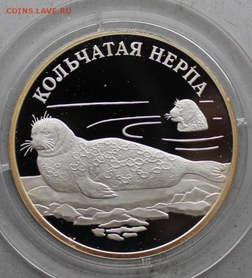 Рубль 2007 год.Кольчатая Нерппа. - IMG_1804.JPG