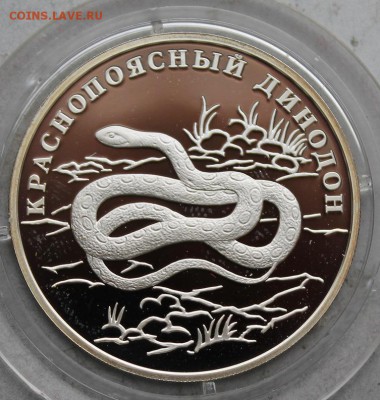 Рубль 2007 год.Краснопоясный динодон. - IMG_1813.JPG