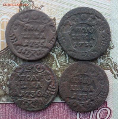 Лот полушек 1731-1736 гг.(4 шт.), до 16.01.19 в 22.00 мск - 1.JPG