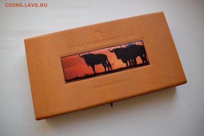Малави, 4х50 квача 2011 с 20000 ₽ до 13.01.19 22.00 МСК - DSC_0105.JPG