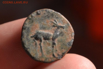 Рим. Галлиен 253 — 268 до 15.01.2019 22:00 - CSC_0508.JPG