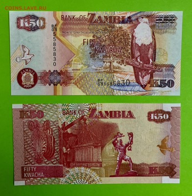 50 Квача Замбия UNC пресс - 7655F583-01D4-4B6A-B495-6A9C757169F9