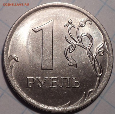 РАЗНОВИДНОСТИ  от  СЛФ - DSC03056.JPG