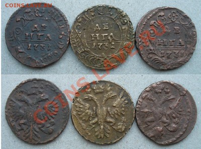 Вопрос по денге 1731, бронза??? - Сбор 1731.JPG