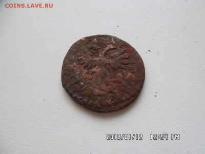 денга 1715 года с бонусом - SAM_5295.JPG
