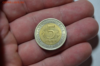 КК 5 рублей ВИНТОРОГИЙ КОЗЕЛ  до 14.01 в 22.30 - DSC_0420.JPG