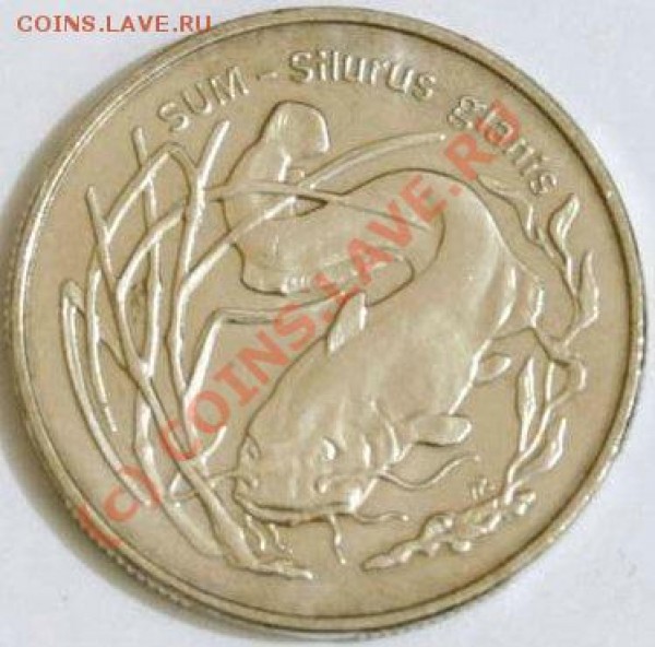 Лот №1 Польша 2 злотых 1995г. Сом - 1995_2zl_sum_b1