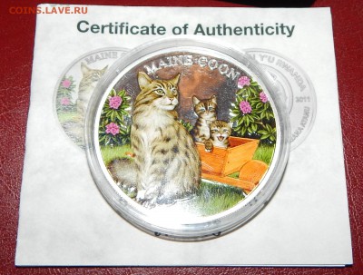 Оценка 500 франков 2011 Руанда Кошки-Мейн Кун, Ag999, proof - Руанда 500 франков-1.JPG