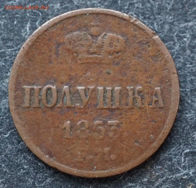 Полушка 1853 ЕМ до 17.01 в 22.00 - DSC01222.JPG