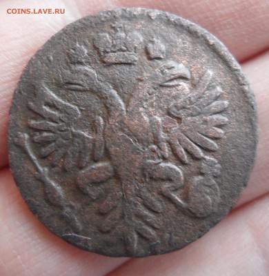 Деньга 1731 года, до 20.01.19 в 22.00 по мск - 5.JPG