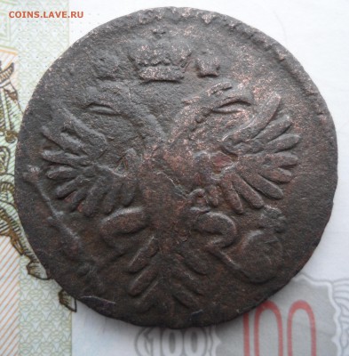 Деньга 1731 года, до 20.01.19 в 22.00 по мск - 2.JPG