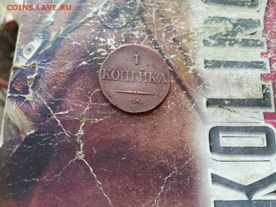1 копейка 1834 СМ до 17.01.2019 г - 1834 (3) - копия