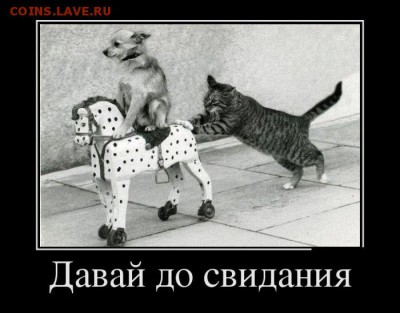 Горчишники от Монеты 2013 - 1351568121_demotivatory_01-38