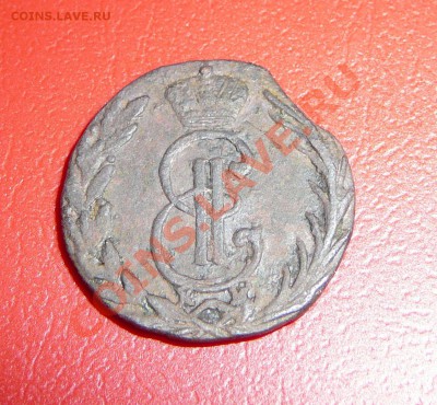 Денга 1772 км (Сибирь). Оценка. - P1100478.JPG