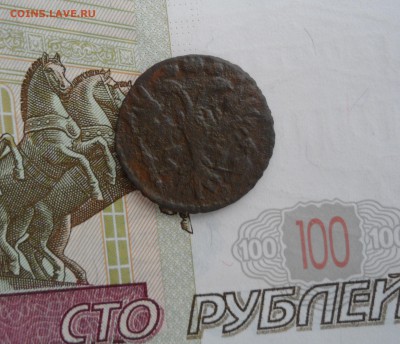 Полушка 1731 года, до 21.01.19 в 22.00 по мск - 22.JPG