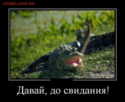 Горчишники от Монеты 2013 - 1353057954_novye-demotivatory-1