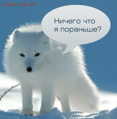 Горчишники от Монеты 2013 - ek1