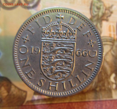 Англия 1 шиллинг  1966 г      до 22.01   22ч - IMG_3006.JPG