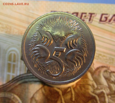 Австралия 5 центов 1974 г    до 22.01    22ч - IMG_3178.JPG