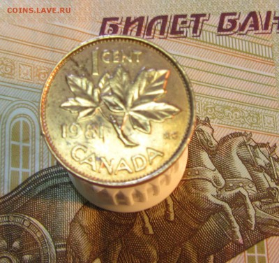 Канада 1 цент 1981 г     до 22.01  22 ч - IMG_3233.JPG
