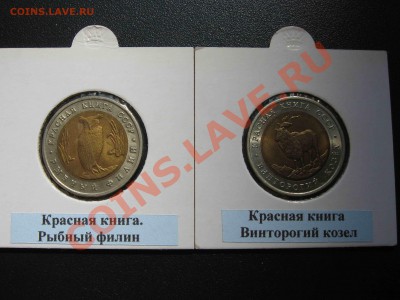 Красная книга, полный комплект в холдерах. - 1991 - 1.JPG