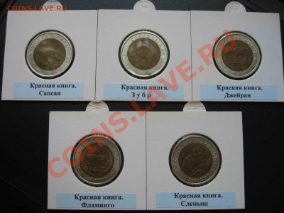 Красная книга, полный комплект в холдерах. - 1994 - 1.JPG