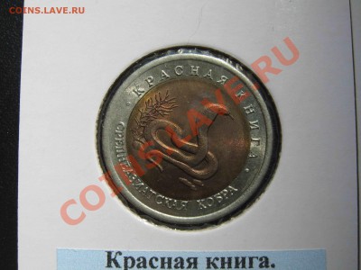 Красная книга, полный комплект в холдерах. - Кобра