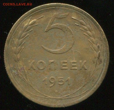 5 коп 1951г. стебли. - img041