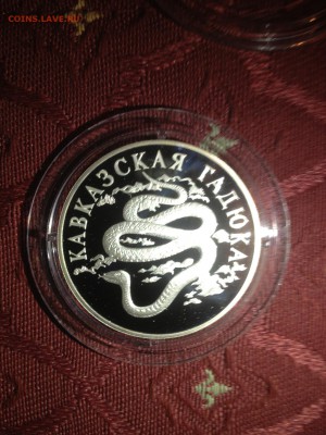 1 руб. Кавказская гадюка 1999г. до 22.01 - 9gszFXGz2m0