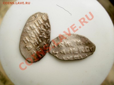 Пара чешуек - DSC04792.JPG