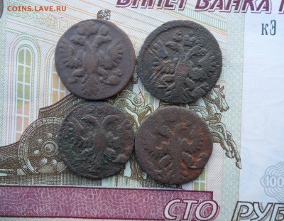 Лот полушек 1731-1736 гг.(4 шт.), до 24.01.19 в 22.00 мск - 222.JPG