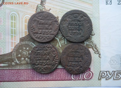Лот полушек 1731-1736 гг.(4 шт.), до 24.01.19 в 22.00 мск - 111.JPG