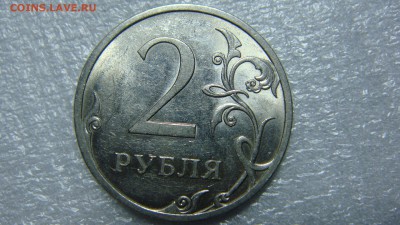 Вопросы по разновиднстям от сахарок - DSC07750.JPG