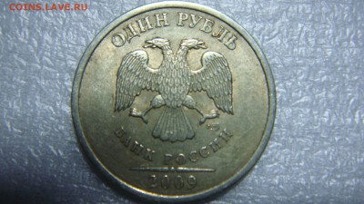 Вопросы по разновиднстям от сахарок - DSC07753.JPG