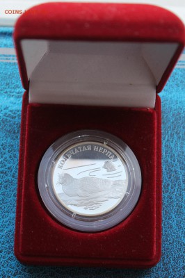 1 рубль 2007 год.Кольчатая Нерпа. - IMG_2985.JPG